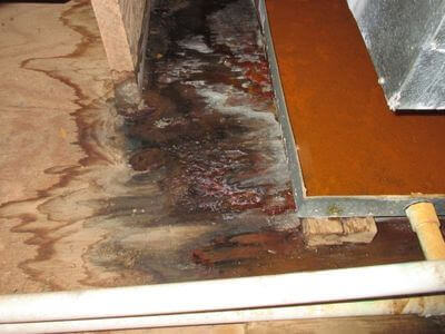 About HomeNimble - water damage restoration experts in Mesa